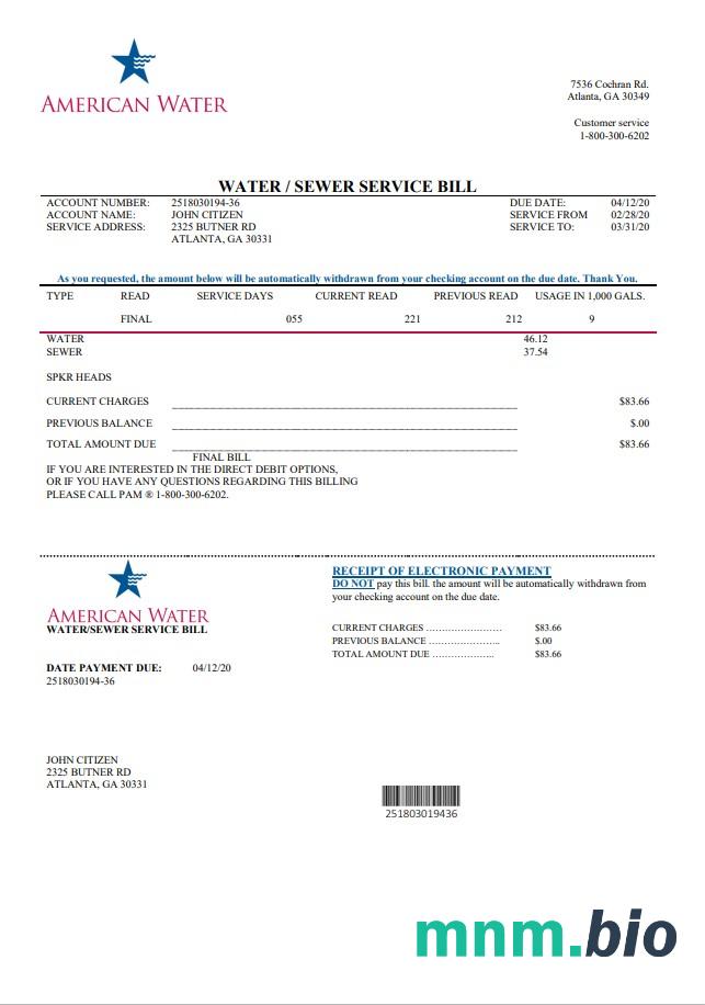USA Georgia American Water rachunek za media szablon w formacie Word i PDF